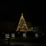 Stromček s medníkom v Smoleniciach | Foto: Zuzana Benková, Trnavské rádio