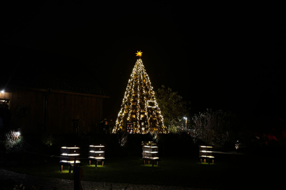 Stromček s medníkom v Smoleniciach | Foto: Zuzana Benková, Trnavské rádio