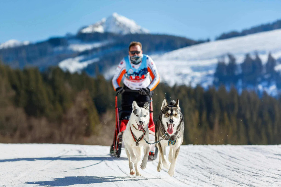 Lukáš Rybár na pretekoch so psami | Foto: Lukáš Rybár