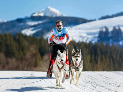 Lukáš Rybár na pretekoch so psami | Foto: Lukáš Rybár