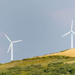 Ilustračný veterný park | Zdroj: iStock