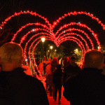 Vysvietený Ružový park I Zdroj: Trnavské rádio