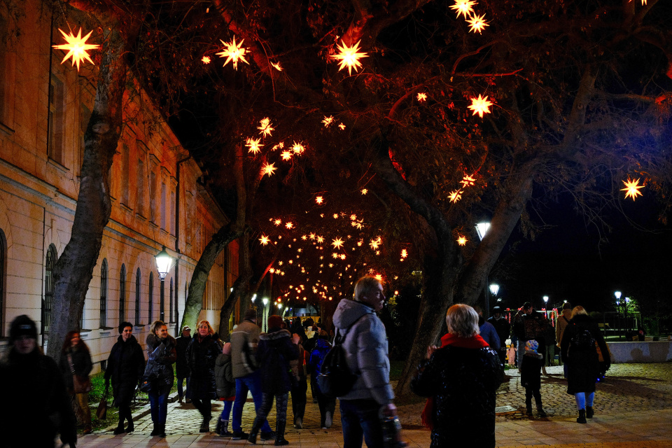Vysvietený Ružový park I Zdroj: Trnavské rádio