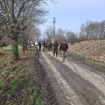 V Brestovanoch vysadili stromčeky | Zdroj: Obec Brestovany