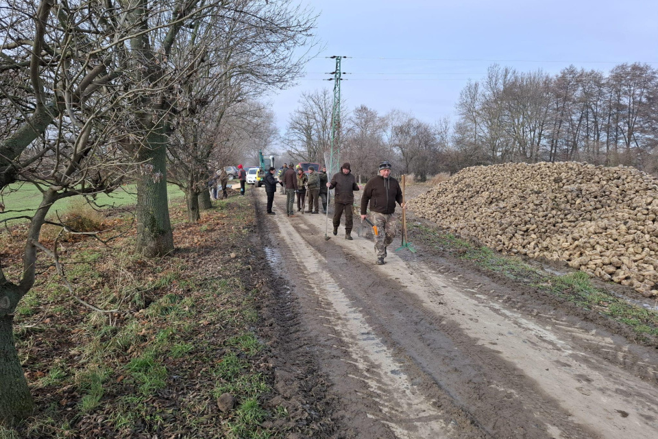V Brestovanoch vysadili stromčeky | Zdroj: Obec Brestovany