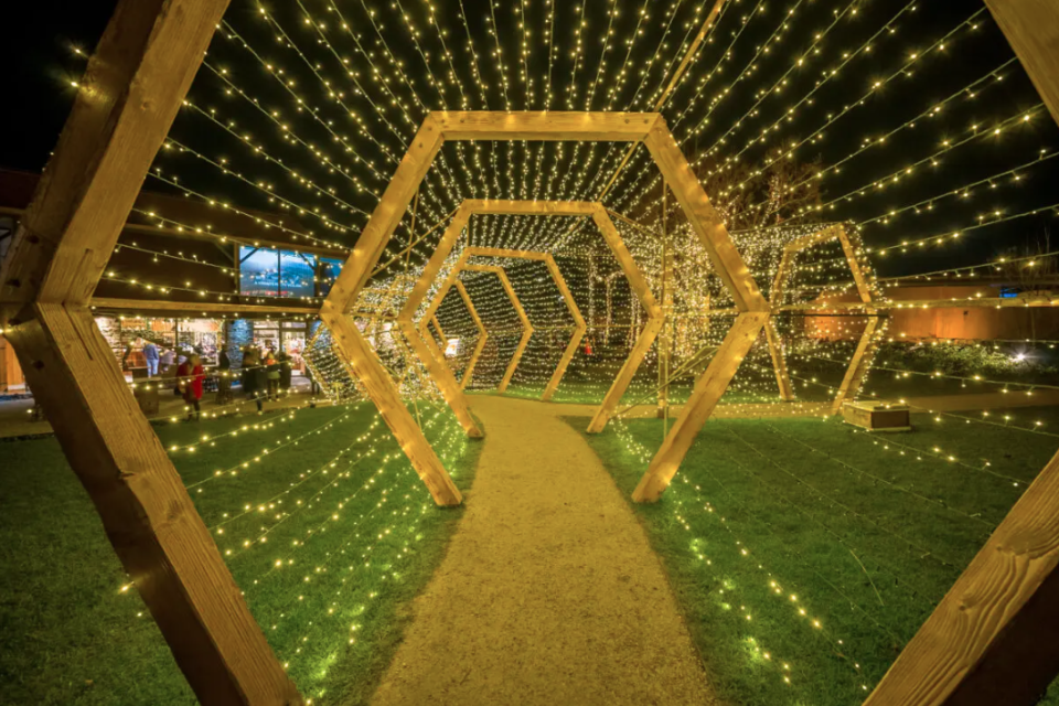 Prejdite sa svietiacim tunelom | Zdroj: Včelovina