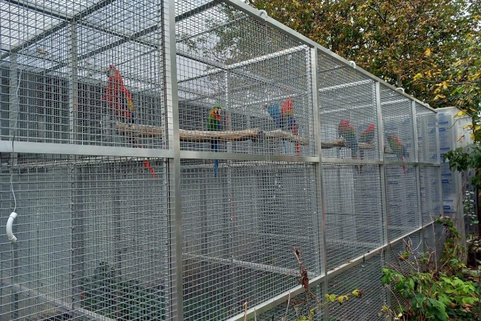 Obchodovanie s ohrozenými druhmi je prísne zakázané. | Foto: Polícia SR - Trnavský kraj 