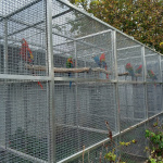 Obchodovanie s ohrozenými druhmi je prísne zakázané. | Foto: Polícia SR - Trnavský kraj 