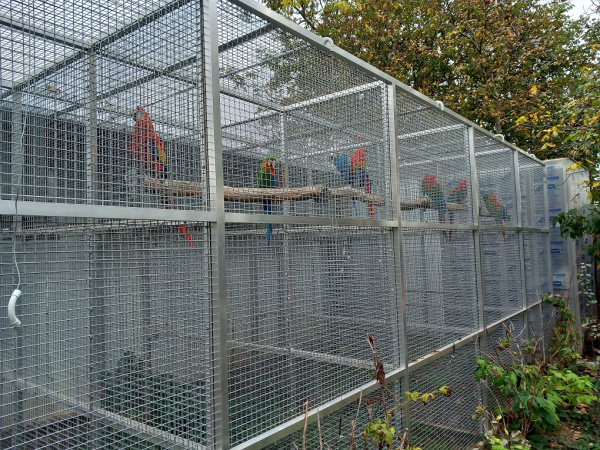 Obchodovanie s ohrozenými druhmi je prísne zakázané. | Foto: Polícia SR - Trnavský kraj 