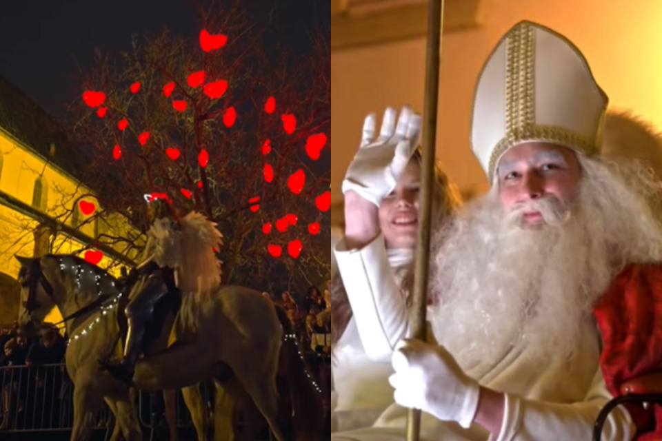 Strom lásky zdobí 45 svietiacich sŕdc. | Foto: Zaži v Trnave