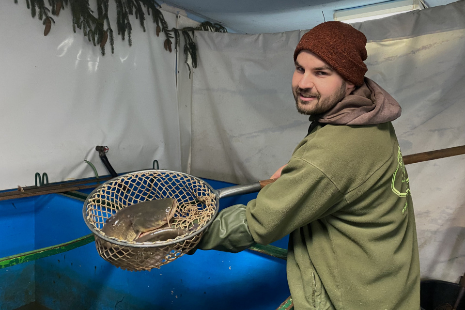 Agrofarma Budmerice ryby nielen predáva, ale ich aj chová | Foto: red.