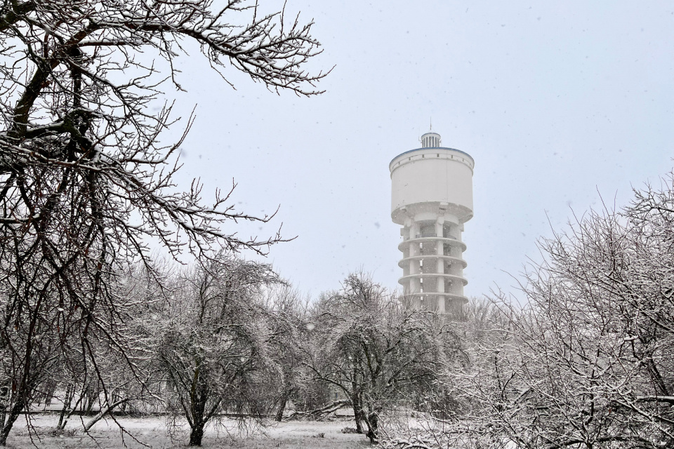 Sneženie v Trnave | Foto: red.