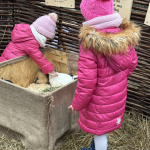 Deti si môžu pohladkať zajaca alebo morča | Foto: Michaela Martišíková, Trnavské rádio