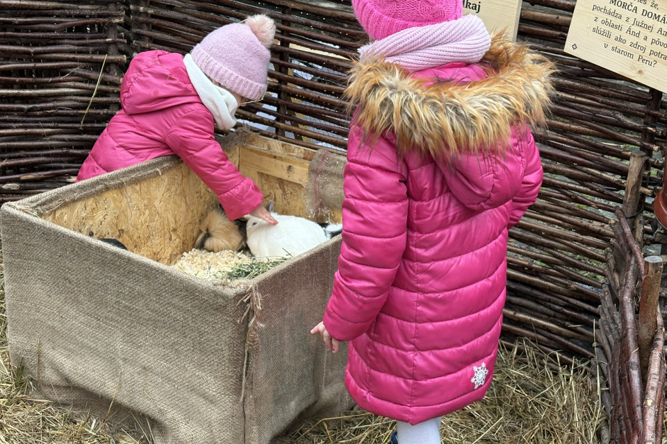 Deti si môžu pohladkať zajaca alebo morča | Foto: Michaela Martišíková, Trnavské rádio