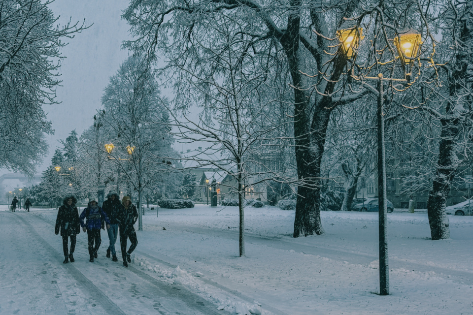 Zasnežená Trnava | Foto: Trnavské rádio