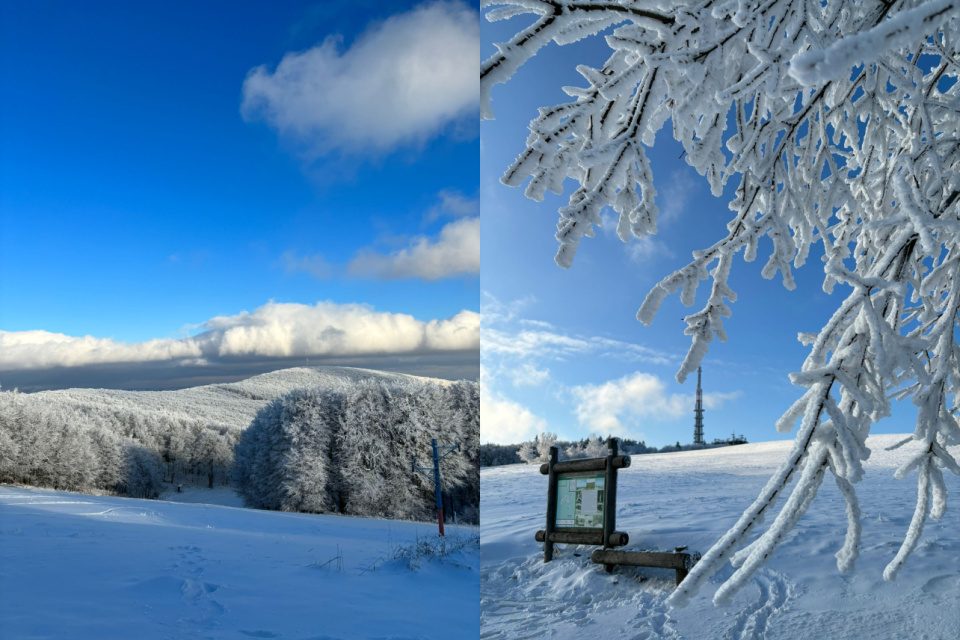 Sneh tam teraz asi nenájdete, prechádzka však môže byť príjemná I Zdroj: Zuzana Benková, Trnavské rádio