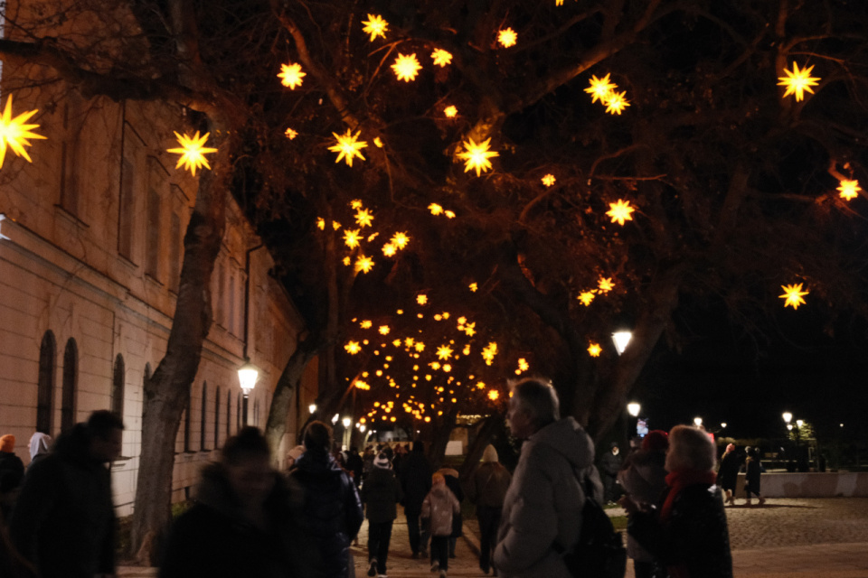 Večerný Ružový park I Zdroj: Trnavské rádio