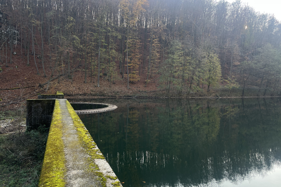 Príroda pri Horných Orešanoch I Zdroj: Trnavské rádio