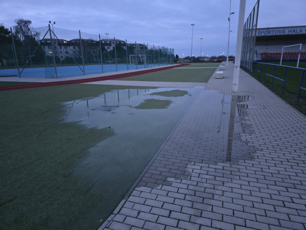 Situácia na štadióne | Foto: Božena Krajčovičová