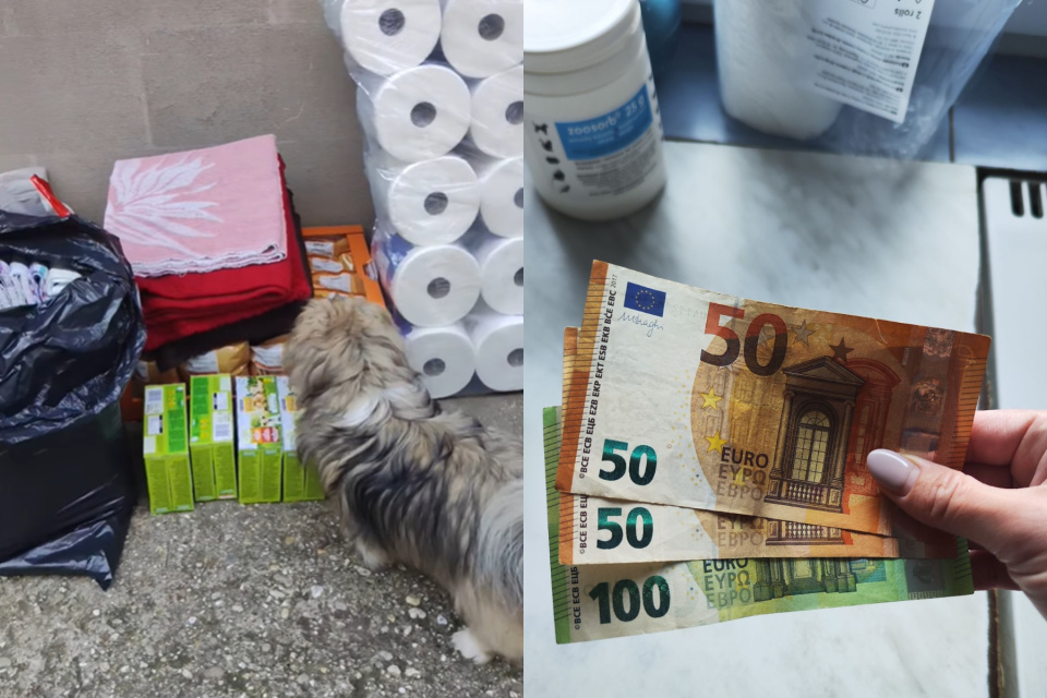 Jeden zo psíkov začuchal piškóty. | Foto: Útulok Trnava