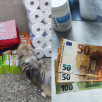 Jeden zo psíkov začuchal piškóty. | Foto: Útulok Trnava