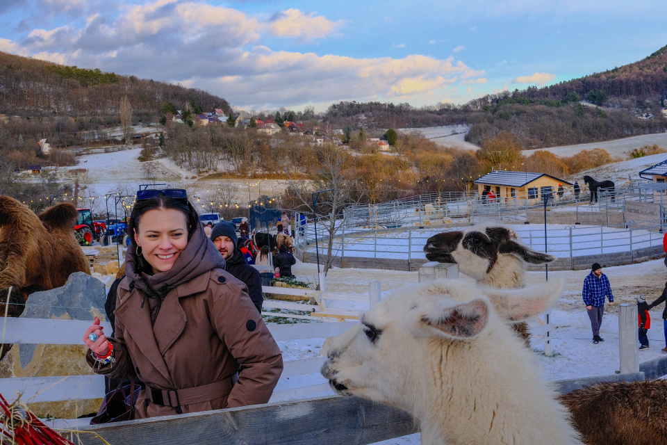 Počas prechádzky zimným areálom môžete nakŕmiť aj lamy | Foto: dv