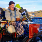 Navštevníci si môžu vychutnať aj jazdu na koči | Foto: dv