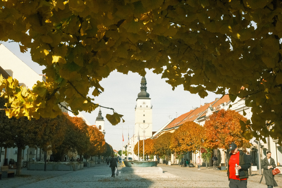 Viaceré mestá a obce sa zapájajú do súťaže Zlatý erb | Foto: Trnavské rádio