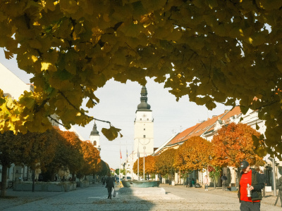 Viaceré mestá a obce sa zapájajú do súťaže Zlatý erb | Foto: Trnavské rádio
