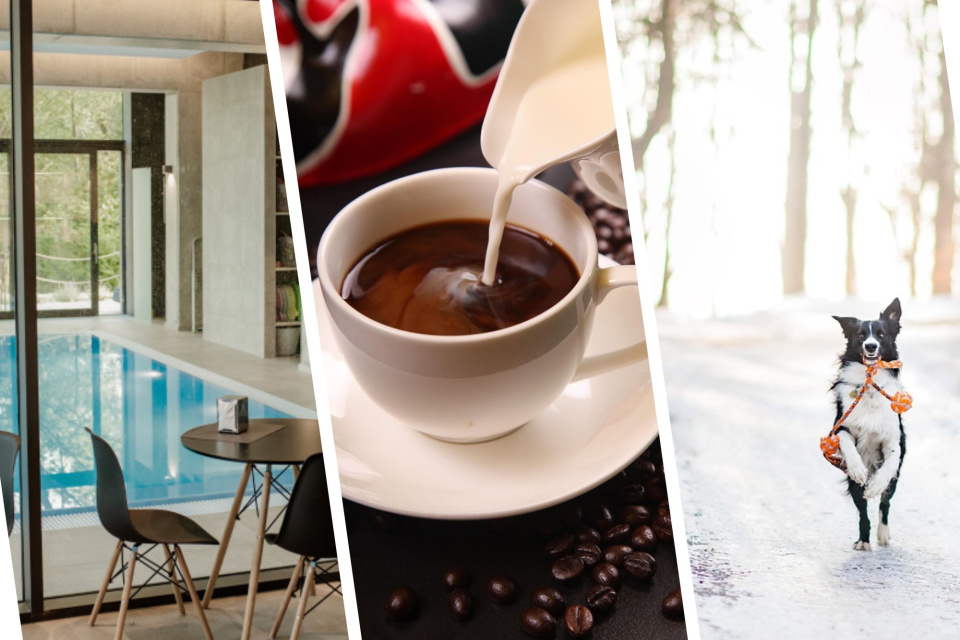 Urobte si Modrý pondelok dňom dobrej nálady | Zdroj ilust. obr. - Welialand Wellness, pixabay