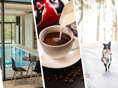 Urobte si Modrý pondelok dňom dobrej nálady | Zdroj ilust. obr. - Welialand Wellness, pixabay