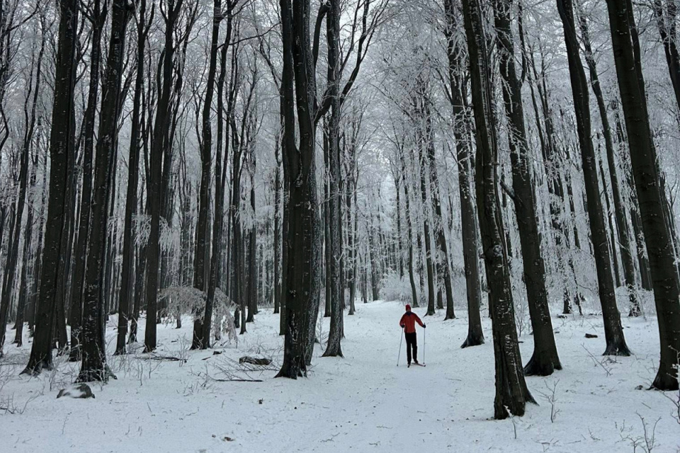 Milovníci bežkovania môžu využiť trate v okolí kraja | Zdroj: Jaro Tešlár/Bežky BABA
