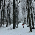 Milovníci bežkovania môžu využiť trate v okolí kraja | Zdroj: Jaro Tešlár/Bežky BABA