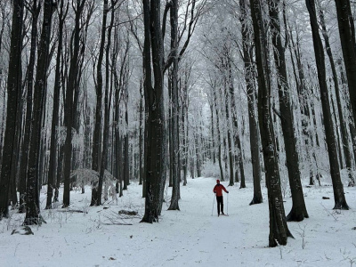 Milovníci bežkovania môžu využiť trate v okolí kraja | Zdroj: Jaro Tešlár/Bežky BABA