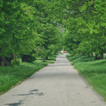 Alej v Plaveckom Podhradí I Foto: Martin Hris