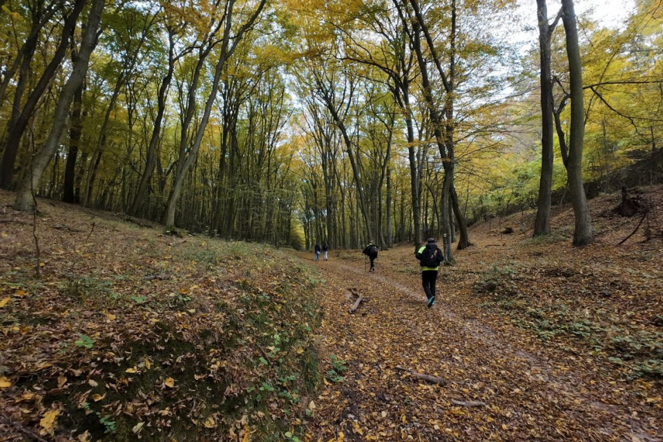 Nezabudnite si zbaliť aj náhradné oblečenie | pochod HP (2025), Zdroj: KST Hlohovec