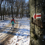 Zimné obdobie si môžete užívať aj na turistike |  Zdroj: FB fotoarchív KST Hlohovec 