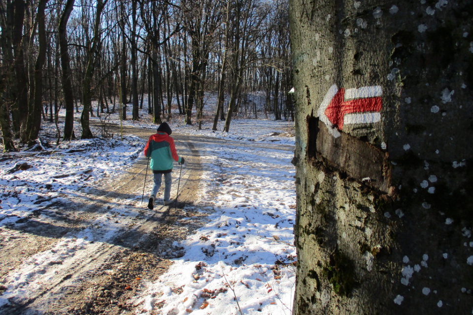 Zimné obdobie si môžete užívať aj na turistike |  Zdroj: FB fotoarchív KST Hlohovec 