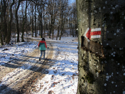 Zimné obdobie si môžete užívať aj na turistike |  Zdroj: FB fotoarchív KST Hlohovec 