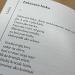 Miroslav Válek - Zakázaná láska | Foto: red.