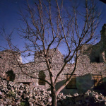 Do obnovy sa môžete zapojiť aj vy | Zdroj: Hrad Tematín