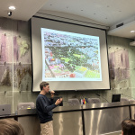 Dominantná je aj naďalej zeleň | Foto: Michaela Martišíková, Trnavské rádio