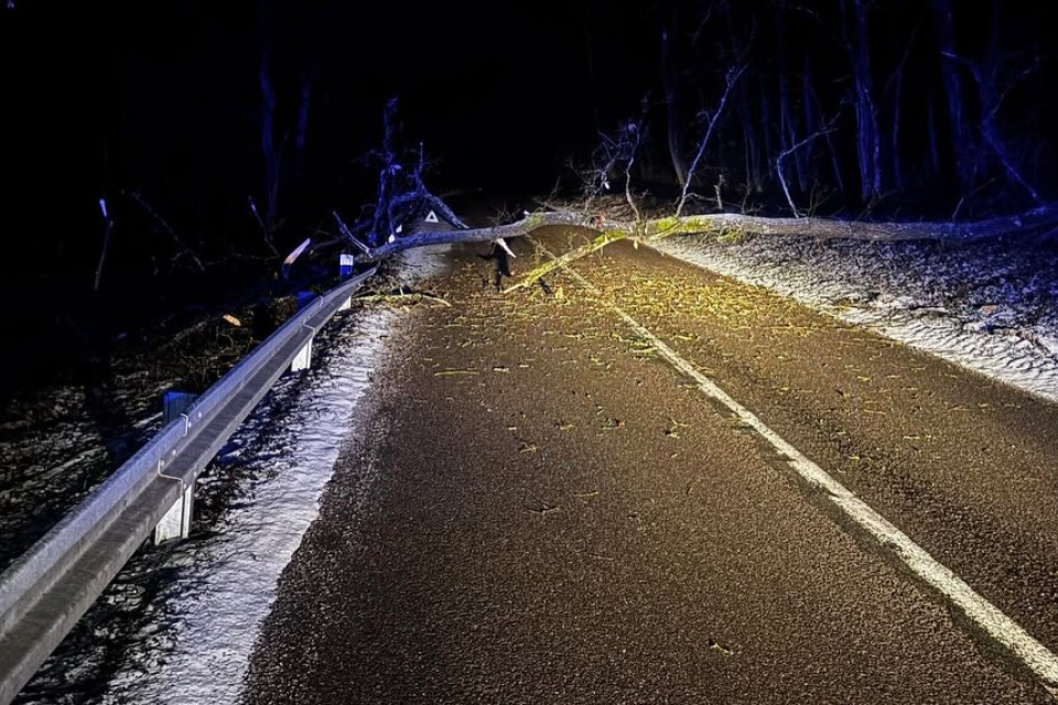 Pod pád stromu sa zrejme podpísala mokrá zem či sneh. | Foto: Hasiči Dobrá Voda