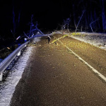 Pod pád stromu sa zrejme podpísala mokrá zem či sneh. | Foto: Hasiči Dobrá Voda