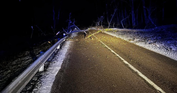 Pod pád stromu sa zrejme podpísala mokrá zem či sneh. | Foto: Hasiči Dobrá Voda