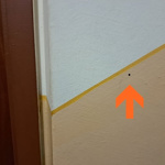 Mestskú políciu Šamorín na to upozornila obyvateľka. | Foto: Mesto Šamorín 