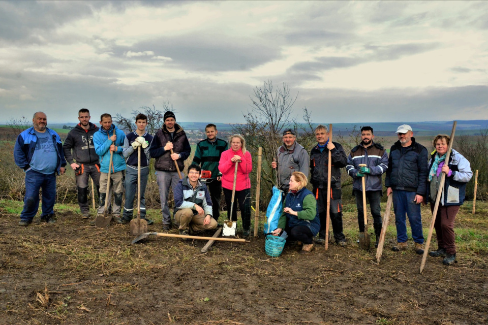 O projekt sa stará Občianske združenie Petrovilla | Zdroj: Zelené oázy