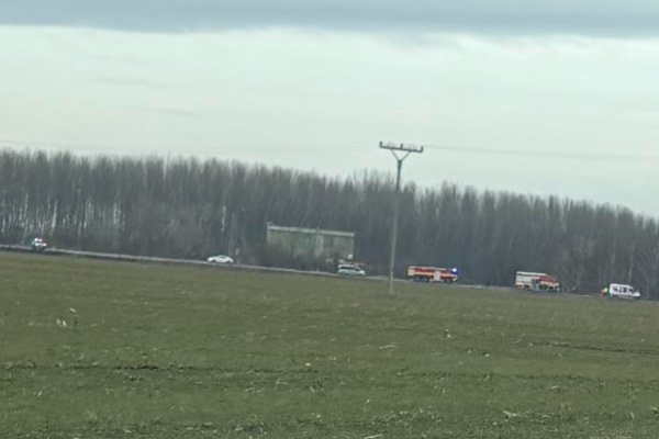 Pri Dunajskej Strede nabúralo auto do stromu. | Foto: Barbara Farkasová, Trnavsky Kraj Dopravny Servis 