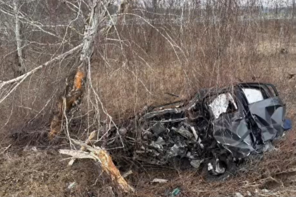Auto po náraze do brezy skončilo na nepoznanie. | Foto: PZSR