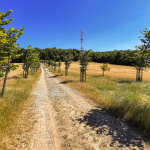 Unínska alej | Zdroj: cestujzamenej.sk